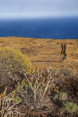 Volcanic landscape near Orchilla lighthouse on the southwest coast of the El Hierro island, Canary Archipelago, Spain, Europe	