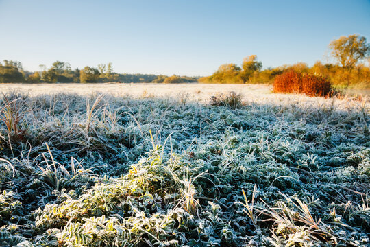 A spacious meadow covered in frost in the early morning light with a clear sky and vivid grass glistening in the sun. - Powered by Adobe