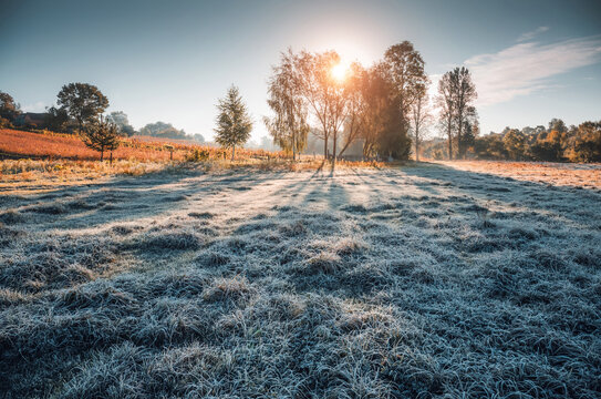 Fresh morning frost blankets the serene meadow as soft sunlight pierces the cool air, creating a magical scene. Photo wallpaper. - Powered by Adobe