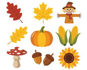 Autumn harvest elements clipart set featuring pumpkins, fall leaves, corn, acorns, mushroom, sunflower, and a cute scarecrow for seasonal decoration artwork.