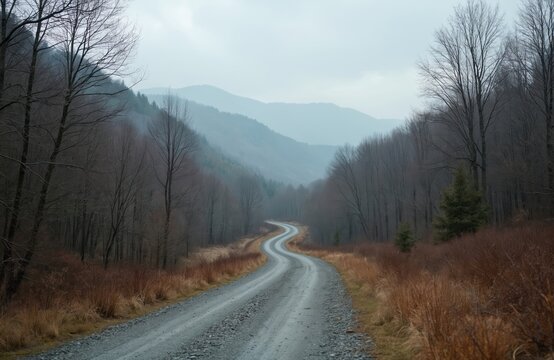 Winding gravel road goes through bare forest with dry grass. Misty mountains rise in background on overcast day. Gloomy landscape evokes sense of journey.