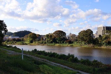 Fototapeta premium November 1, 2025. Sendai, Miyagi Prefecture, Japan.The riverbank of the Hirose River in autumn