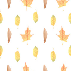 A watercolor pattern of colorful autumn maple leaves. This hand drawn, simple design is perfect for wrapping paper and interior design.
