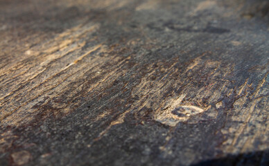 Close-up of weathered wooden surface with natural grain background