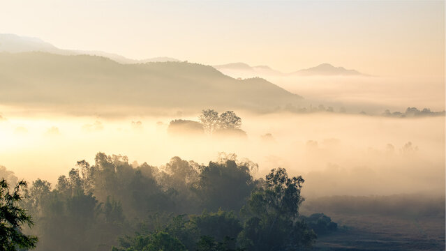 Beautiful view of morning light hitting fog,mountains, trees and rice fields in the countryside in Chiang Rai. Northern Thailand.