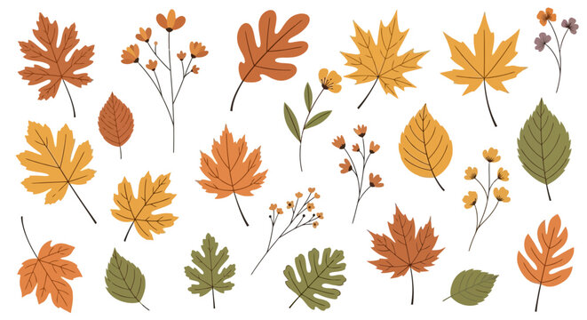 A collection of various autumn leaves and small floral elements in different shapes and fall colors like orange, yellow, brown, and green, isolated on a white background.