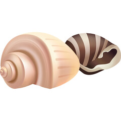 Two Seashells One Smooth Cream Colored Spiral Shell and One Striped Brown and White Whorled Shell on Transparent Background Realistic Illustration