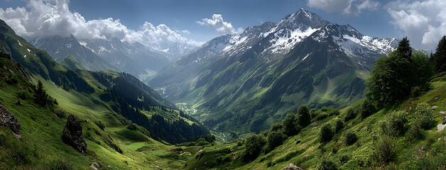 Panorama sur les montagnes vertes et enneigées des Alpes