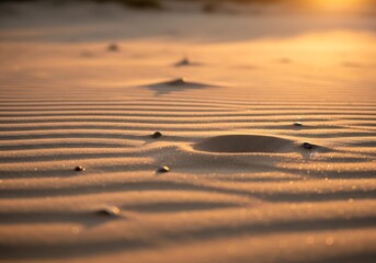 Golden hour at the arid terrain with wind sculpted sand dunes backdrop