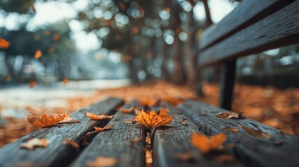 Autumnal quietude: Park bench adorned with vibrant falling leaves serenity