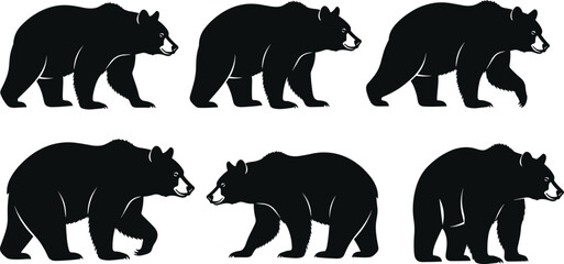 Collection of black bear silhouettes in various walking poses, detailed wildlife animal illustrations perfect for nature themes, forest graphics and outdoor designs