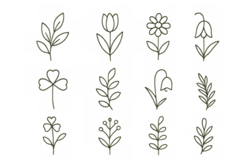 Minimalist botanical drawing set of plant doodles and spring flower line art illustrations with transparent background