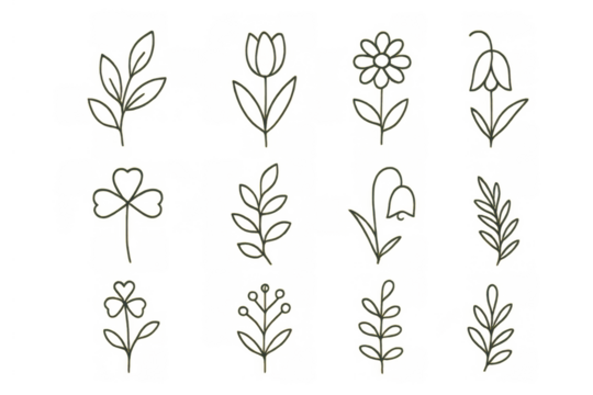 Minimalist botanical drawing set of plant doodles and spring flower line art illustrations with transparent background