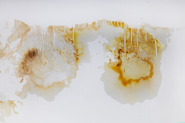 Yellow stains of mold and fungal bacteria on a white wall after a flood