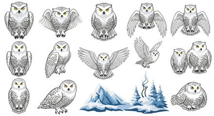 Collection of snowy owls in various poses with winter landscape illustration on a white background