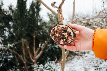 Hands hanging a bird feeder.Feeding birds in the cold season.Feeding and helping birds.Supporting ecosystems and biodiversity  © Yuliya