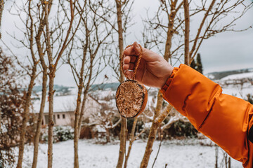 Hand hangs net with food on branch .Feeding and helping birds.Supporting ecosystems and biodiversity © Yuliya