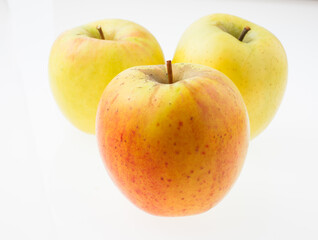 　林檎　群馬明月