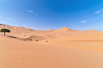 Naklejka premium Desert Dune Horizons 