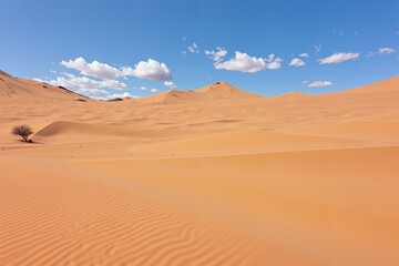 Fototapeta premium Desert Dune Horizons 