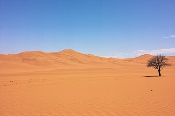 Fototapeta premium Desert Dune Horizons 