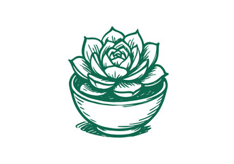 Succulent Rosette hand drawn simple sketch vector illustration