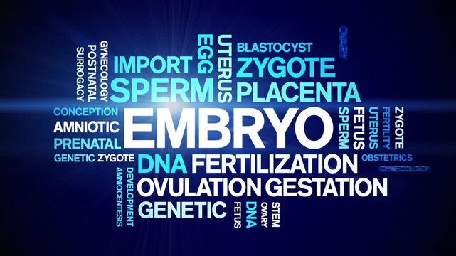 Embryo animated word cloud-text design animation tag kinetic typography seamless loop.