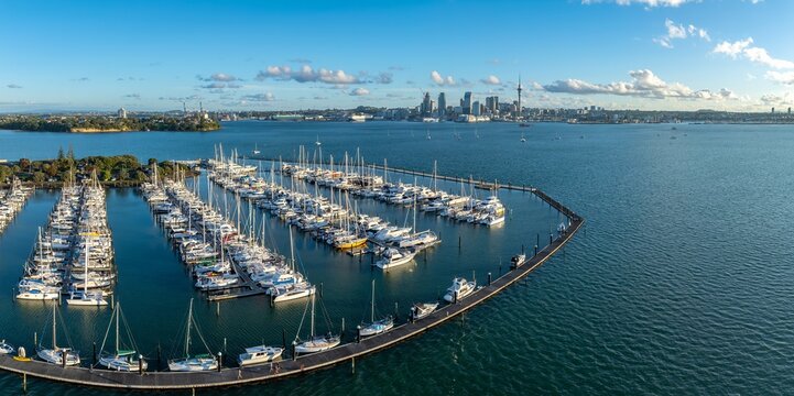 Aerial view of Bayswater marina filled with sailboats and yachts in Auckland, New Zealand. The city skyline and harbor are visible in the background. Boating is a popular activity.