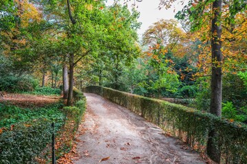 Autumn, forest, El Retiro Park, Madrid, Spain, Europe