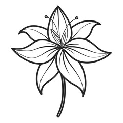 vector illustration of a erythronium albidum flower line art