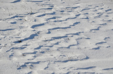 Ripples in the snow