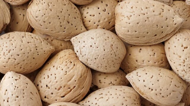 Almonds abstract background, top view. Rotating