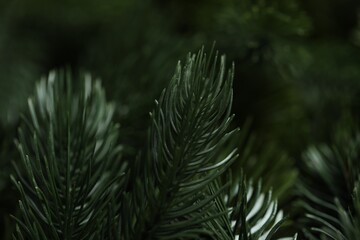 Branches of artificial Christmas tree as background, macro view