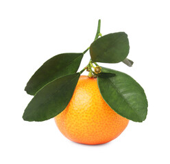 Fresh tangerine with green leaves isolated on white