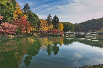 Fototapeta premium 池のある公園
