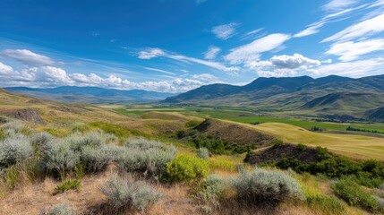 Naklejka premium Breathtaking Panoramic View of Rolling Hills Under a Bright Blue Sky with Fluffy Clouds in a Serene Countryside Landscape