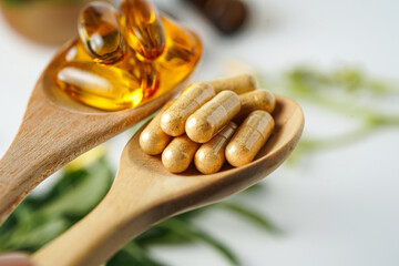 Medicine herbal organic capsule vitamin E omega 3 fish oil drug herbs leaf natural supplements