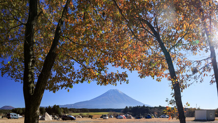晩秋の富士山麓朝霧高原のキャンプ場から　紅葉と富士山の絶景　　静岡県富士宮市　日本