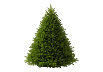 Realistic green christmas tree isolated on transparent background