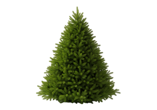 Realistic green christmas tree isolated on transparent background