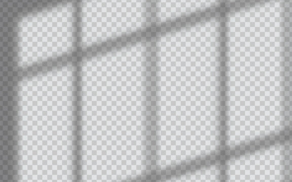 Realistic soft window shadow overlay on transparent background, perfect for branding, product display, social media design, and modern minimal mockups. Subtle natural sunlight studio lightning effect