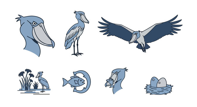 Shoebill Stork Bird Collection.