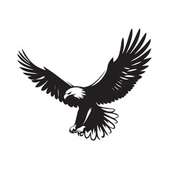 eagle on white background