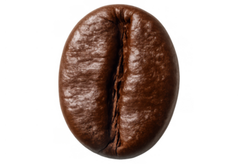 Single roasted coffee bean, full of aroma and caffeine, isolated on a transparent background, ready for brewing