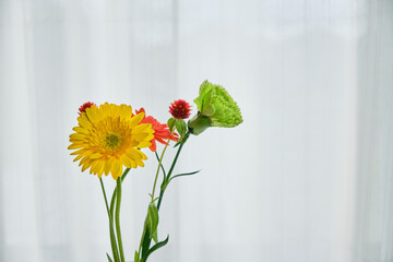 窓際の穏やかな光と綺麗な生花