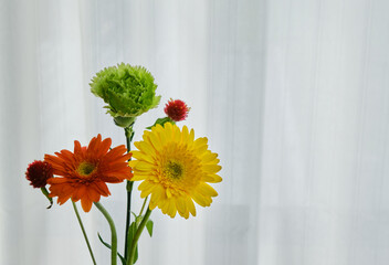 窓際の穏やかな光と綺麗な生花