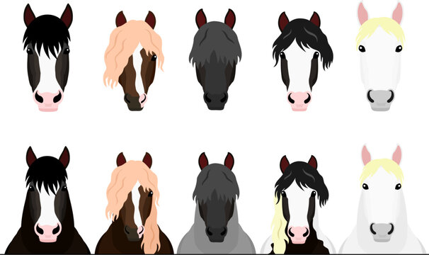 set of draft horses peeking and heads