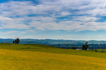 Fototapeta premium Riverina Countryside in Spring – Lush Fields Under Clouded Skies
