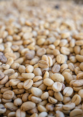 High-quality green and roasted coffee beans in close-up detail, premium Colombian coffee for export and specialty roasting