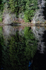 Fall colors of forest reflected in lake